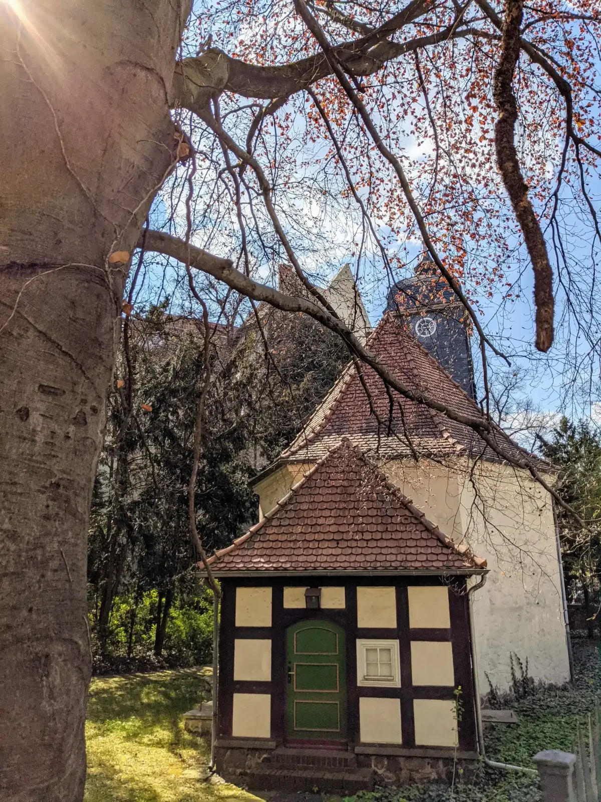 Fachwerkanbau mit grüner Tür an der Bethlehemskirche am Richardplatz in Neukölln, davor ein blühender Baum