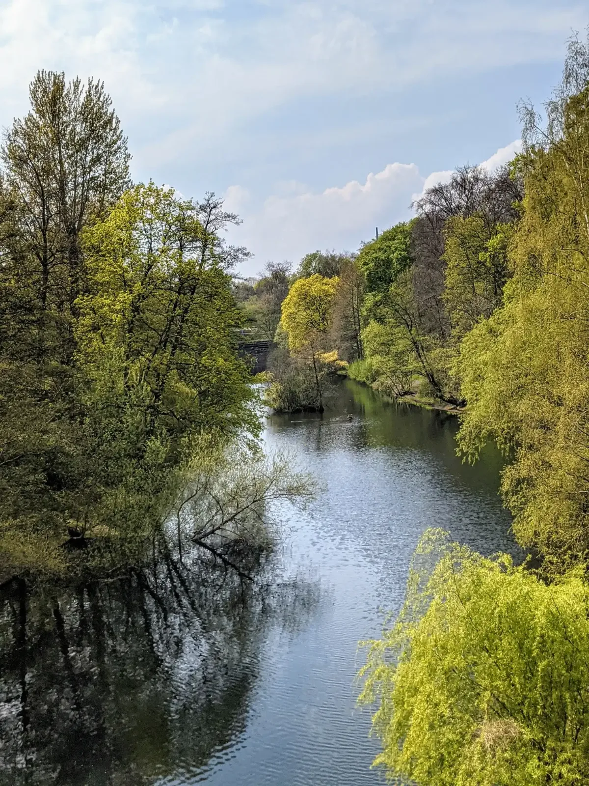Fennsee im Volkspark Wilmersdorf zwischen frisch grünen Bäumen und Weiden