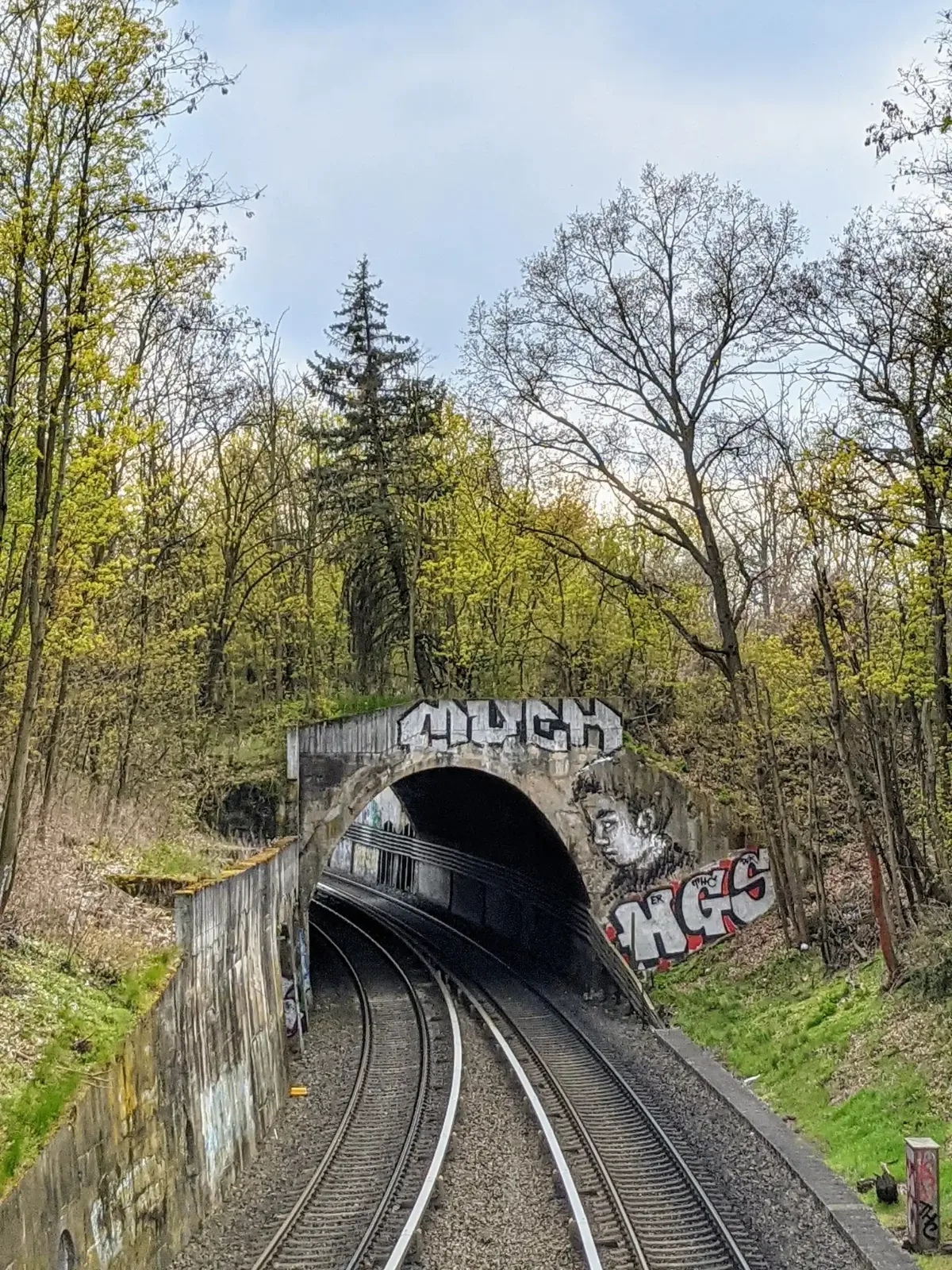 Besprühtes Tunnelportal einer S-Bahn-Strecke in einem grünen Einschnitt bei Eichkamp