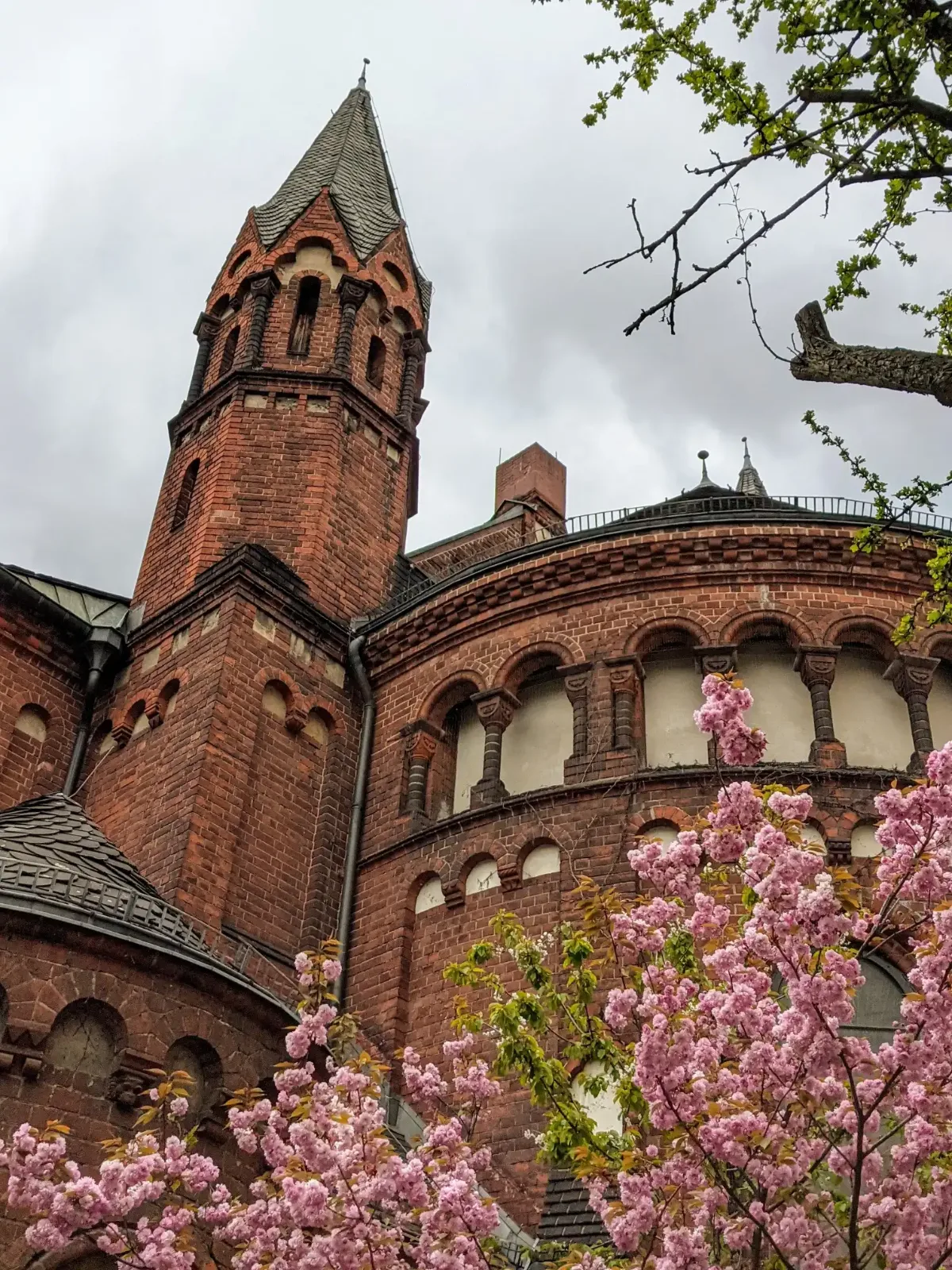 Kapernaumkirche an der Seestraße in Berlin-Wedding hinter rosa blühenden Kirschzweigen