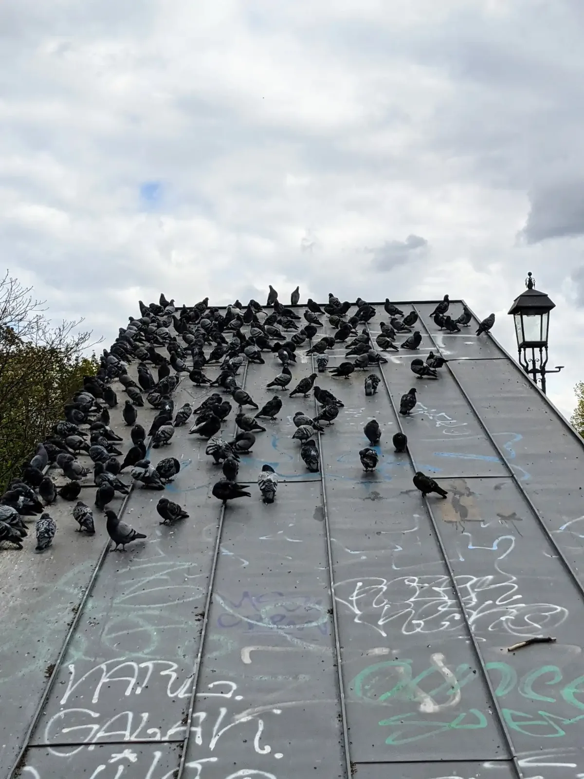 Tauben auf einem grauen Dach voller Tags neben einer alten Laterne am Bahnhof Schönhauser Allee
