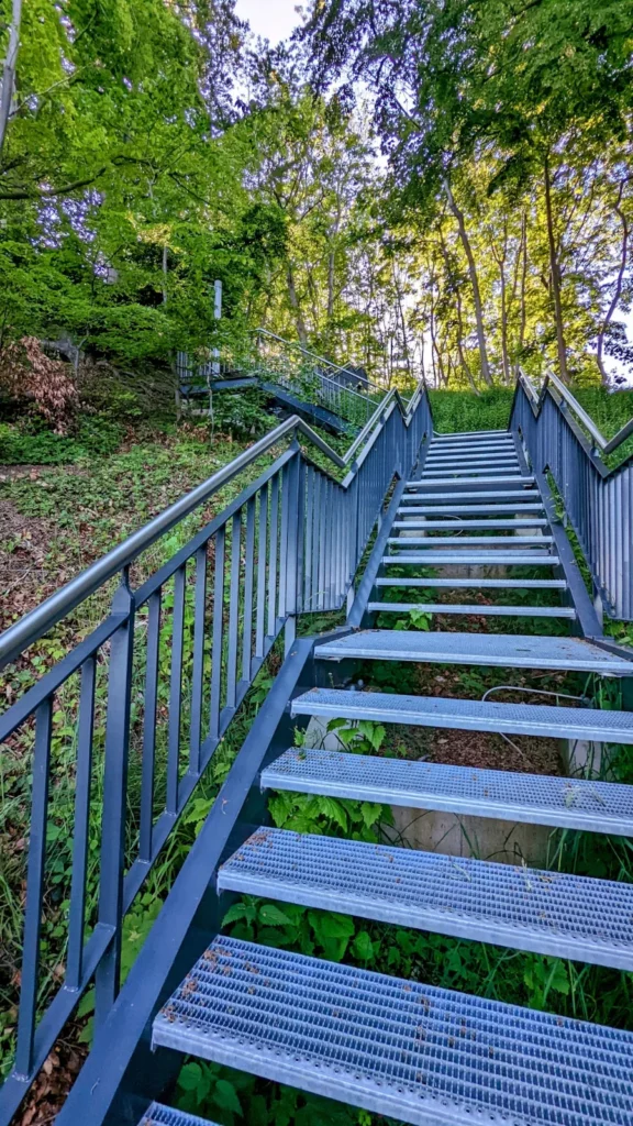 Stahltreppe durch den Buchenwald hinauf aufs Hochufer in Sassnitz
