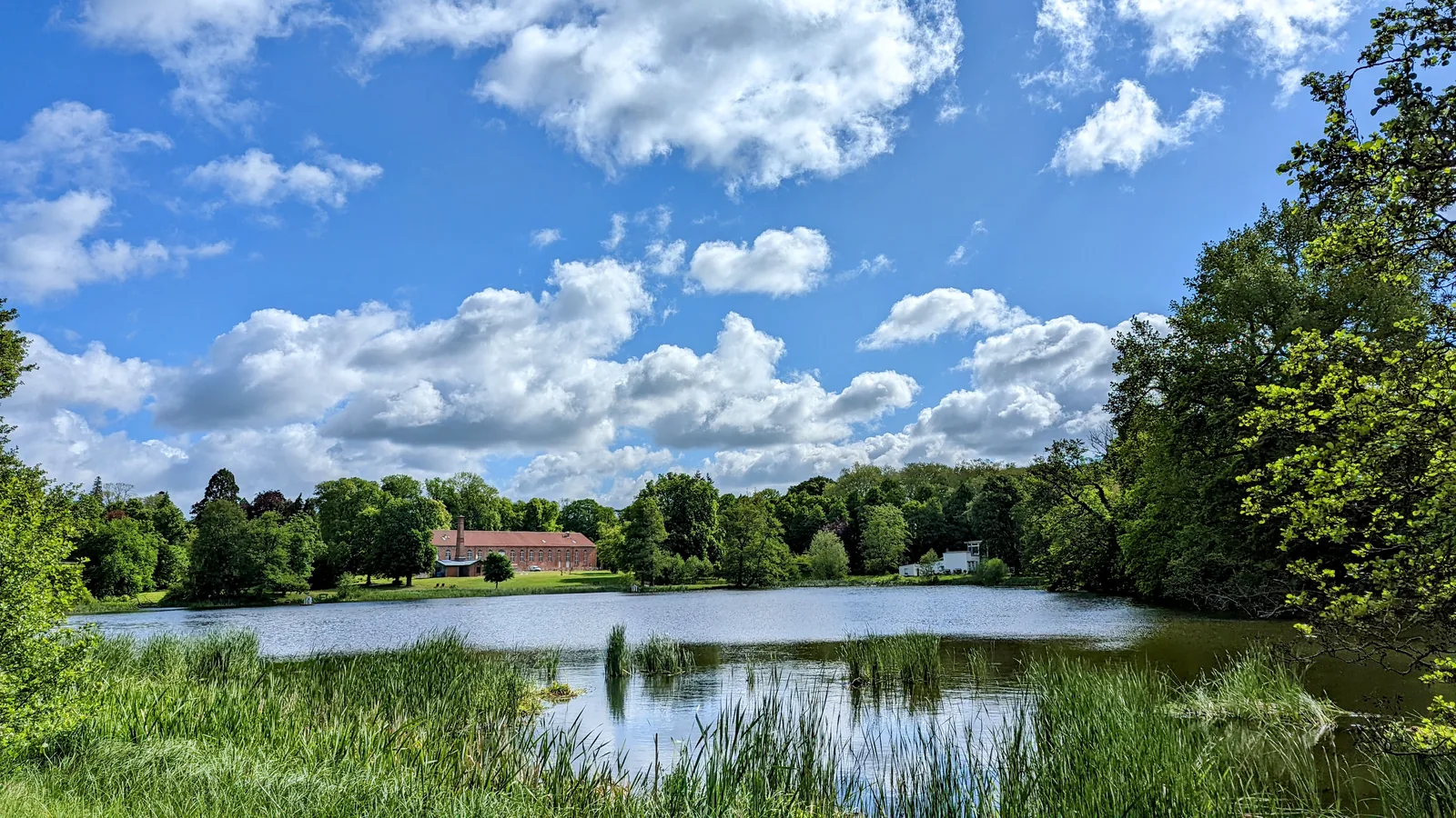 Teich im Schlosspark Putbus mit Schilf, dahinter Bäume und ein Gebäude mit rotem Dach