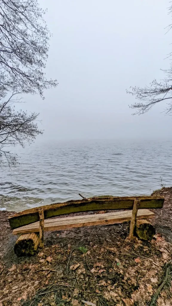 Bank am Ufer des Seddinsees auf dem Schmöckwitzer Werder bei dichtem Nebel im Februar