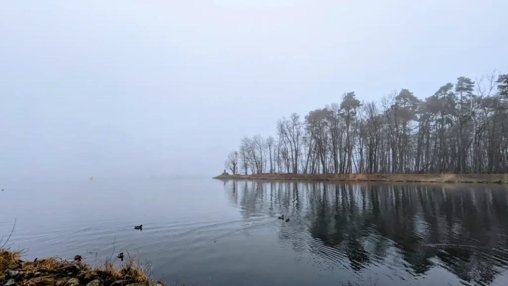 Blick über den Seddinsee auf eine kleine Insel im Nebel, vom Schmöckwitzer Werder aus