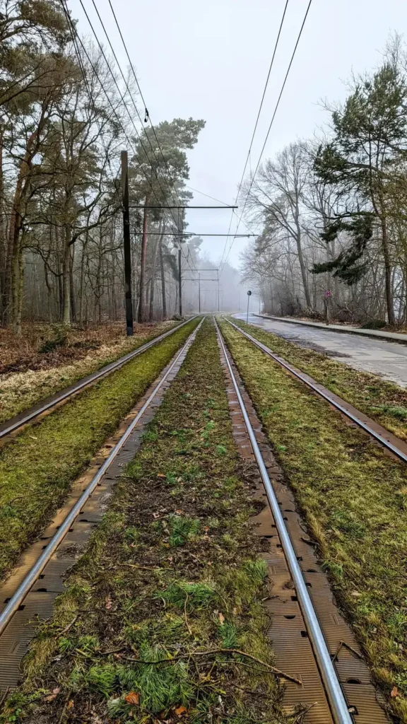 Gleise der Straßenbahnlinie 68 im Wald bei Karolinenhof an einem nebligen Februartag
