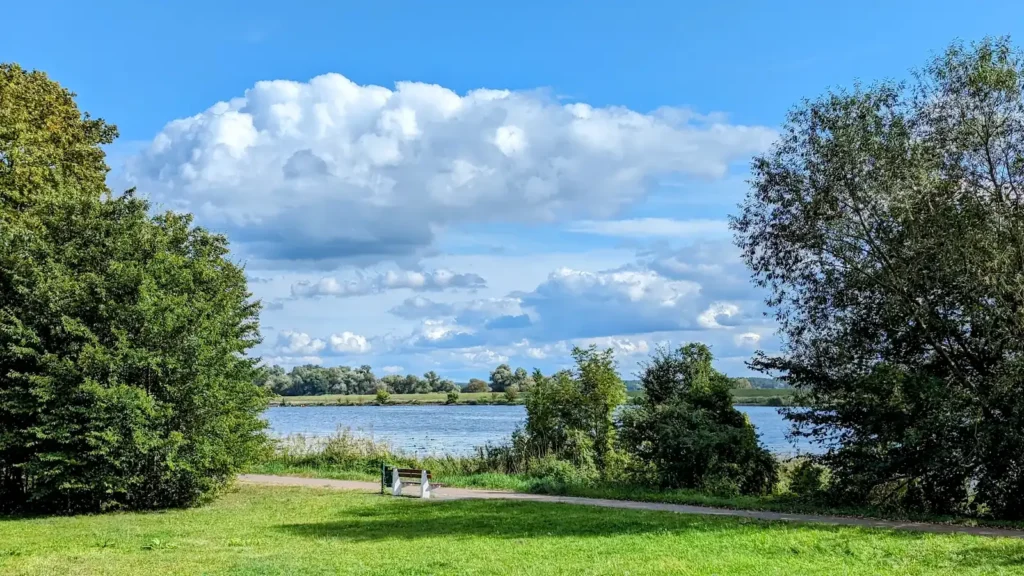Wiese und Gebüsch an einem Gewässer östlich der Innenstadt von Schwedt