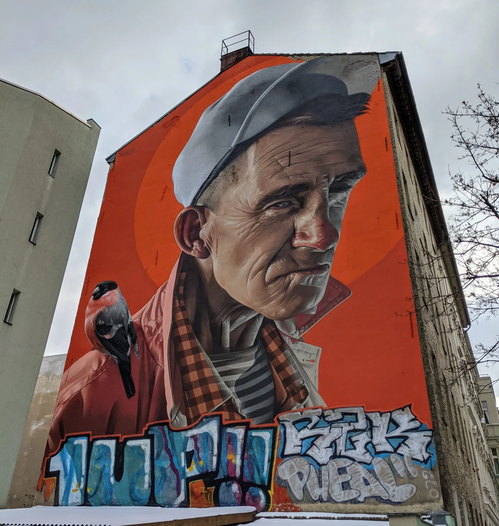 Smug: Alter Mann mit Dompfaff an der Manteuffelstraße