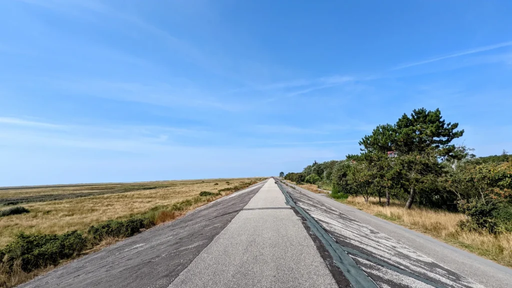 Gerader, asphaltierter Weg durch Salzwiesen zwischen St. Peter und Bad St. Peter-Ording