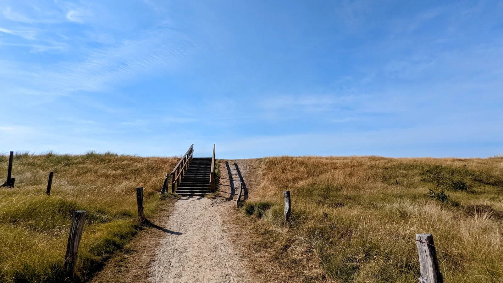 Sandweg mit Holztreppe über eine Düne im Gras bei Böhl, St. Peter-Ording