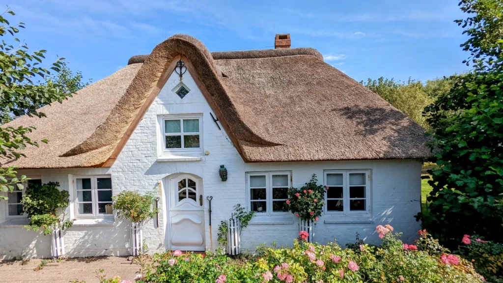 Weißes Reetdachhaus mit Rosen am Zaun in Ording