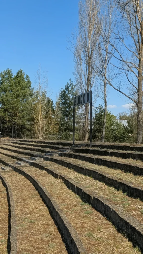 Grasbewachsene Stehtraversen in der Kurve des Stadions der Hüttenwerker, dahinter Kiefern und Birken