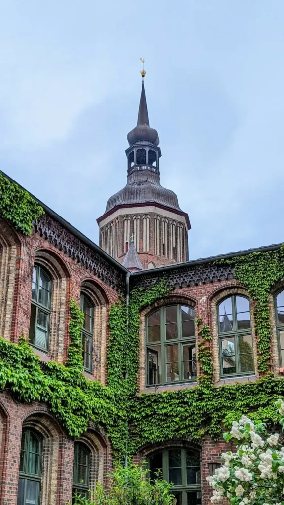 Turm der Marienkirche in Stralsund mit barocker Haube, davor ein efeubewachsener Backsteinbau