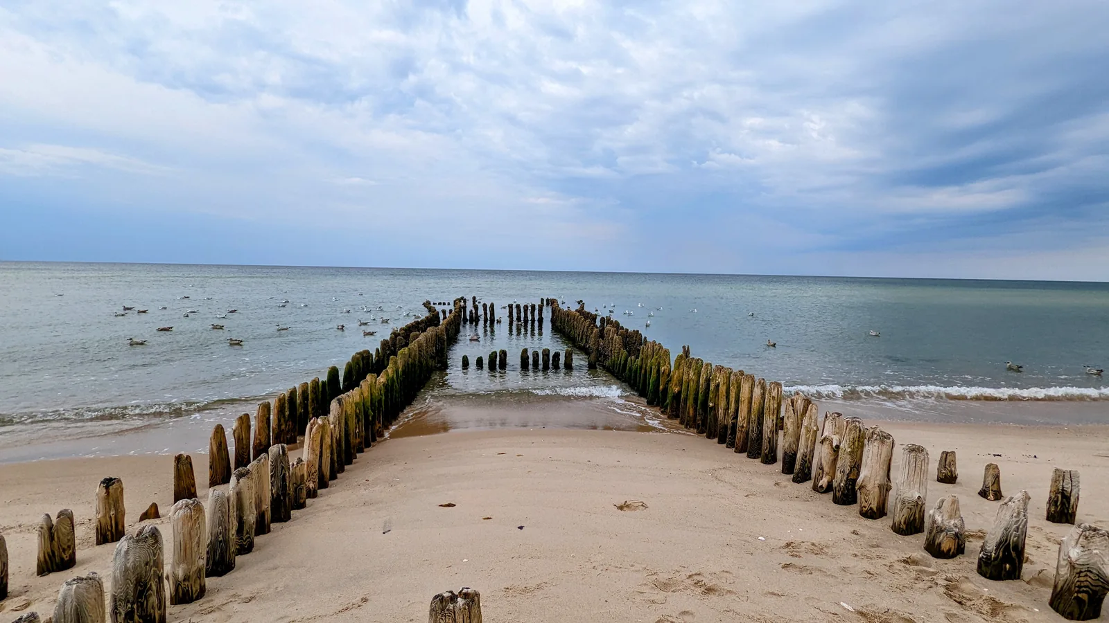 Holzbuhnen am Strand an der Westküste von Sylt bei Rantum
