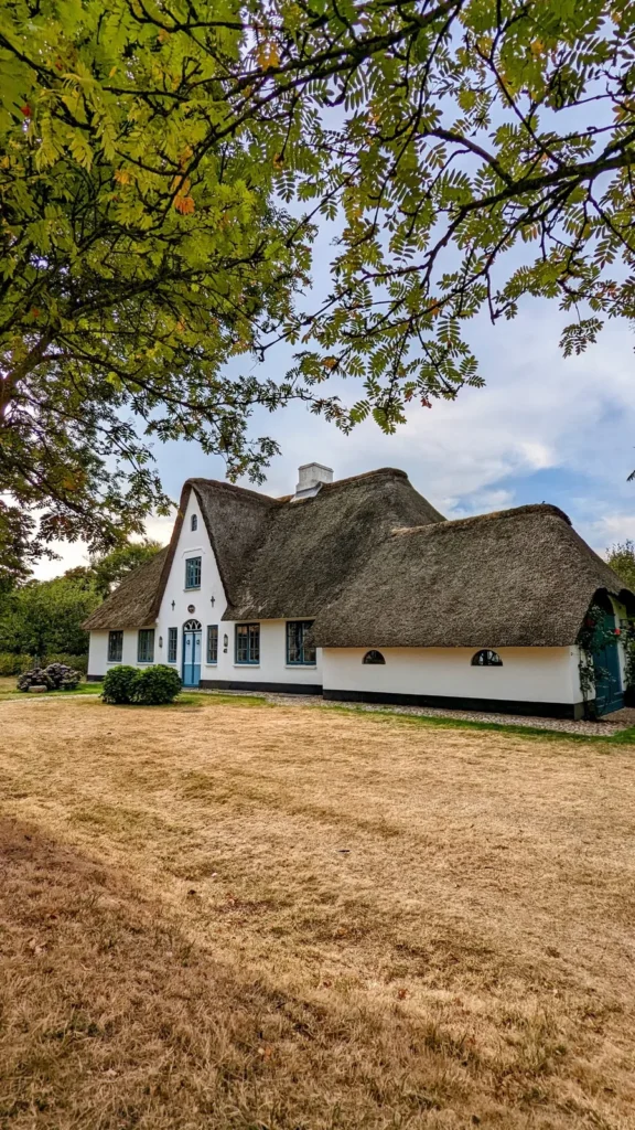 Weißes Reetdachhaus hinter einer Wiese in Keitum auf Sylt