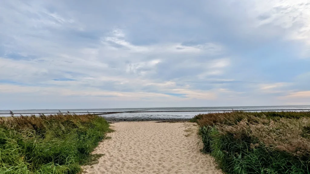 Sandweg durch Strandhafer zum Wattenmeer bei Keitum auf Sylt