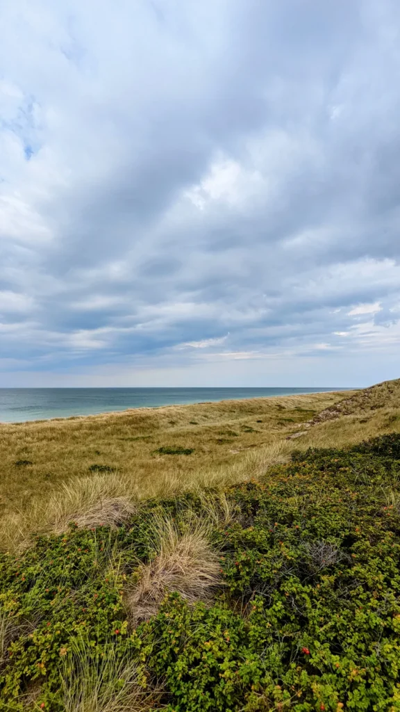 Dünenkante mit Blick auf die Nordsee bei Rantum auf Sylt