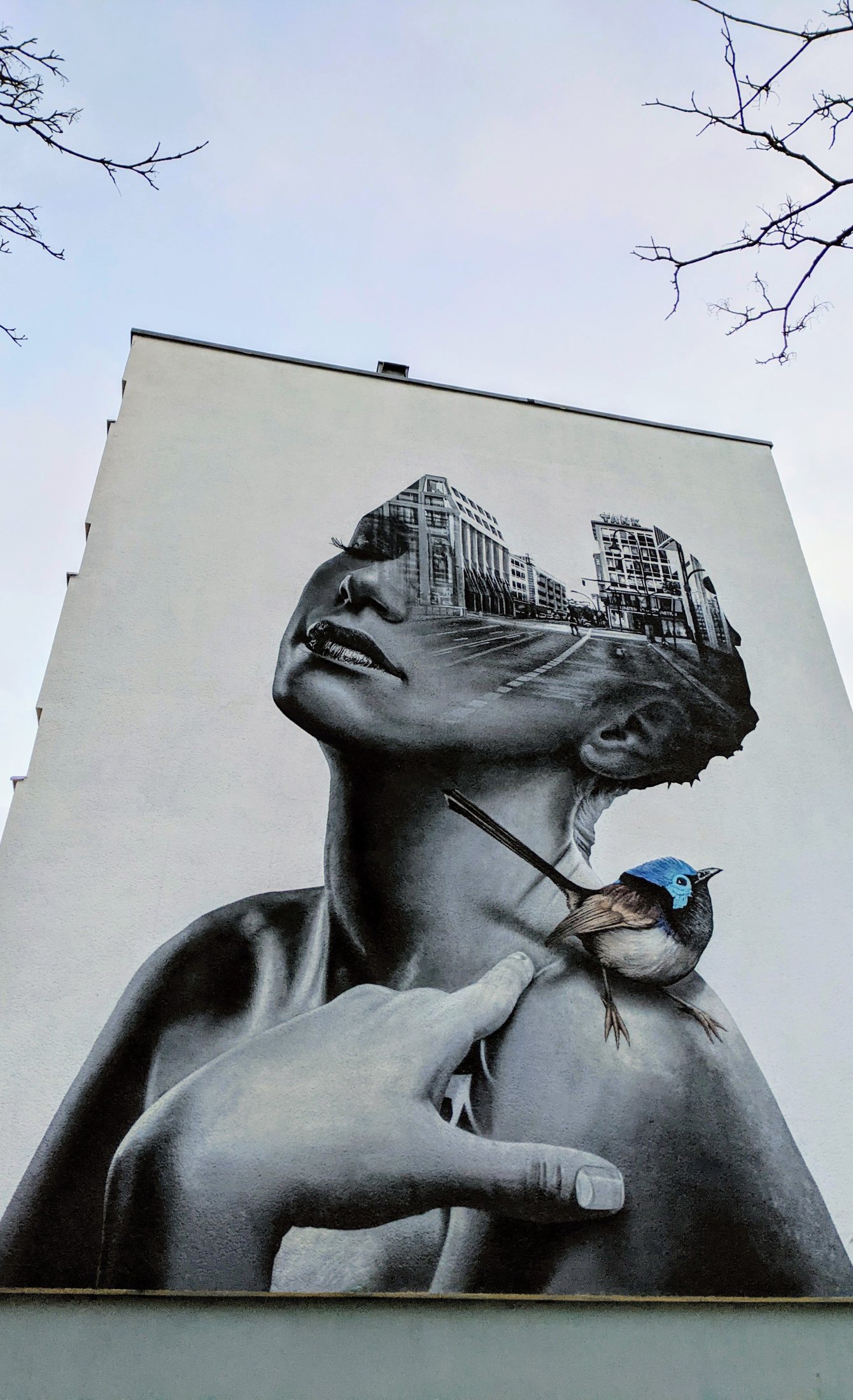 Tank: Dame mit Vogel an der Manteuffelstraße in Kreuzberg