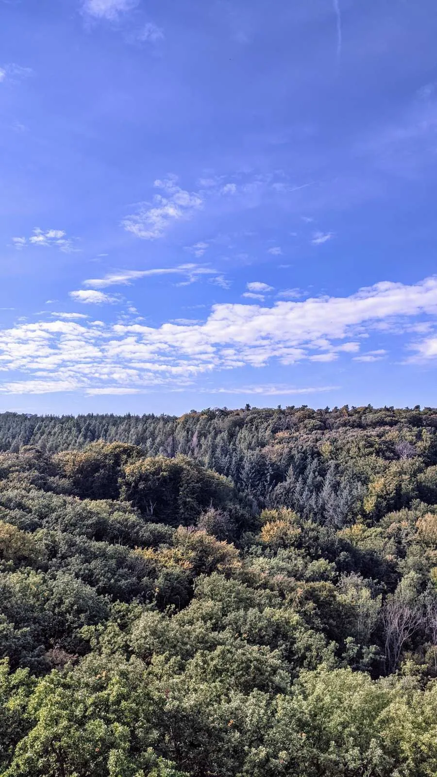Blick über bewaldete Höhen bei Bad Freienwalde