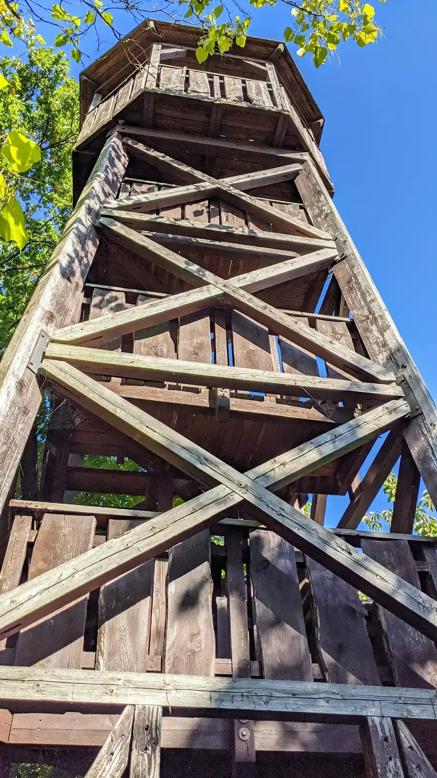 Eulenturm am Haus der Naturpflege, Holzturm mit Kreuzstreben