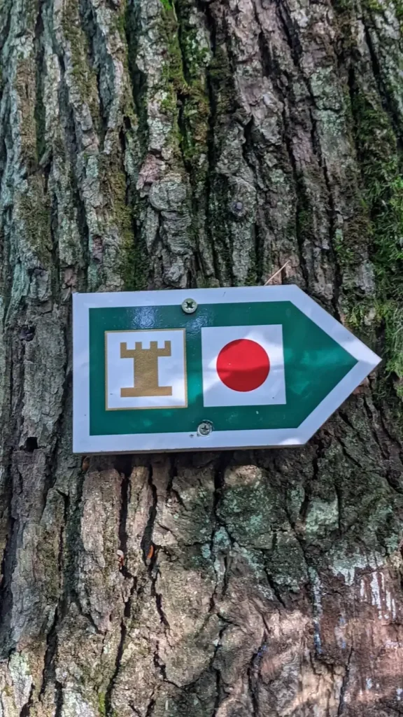 Wegzeichen des Turmwegs am Baum: grüner Pfeil mit Turmsymbol und rotem Punkt