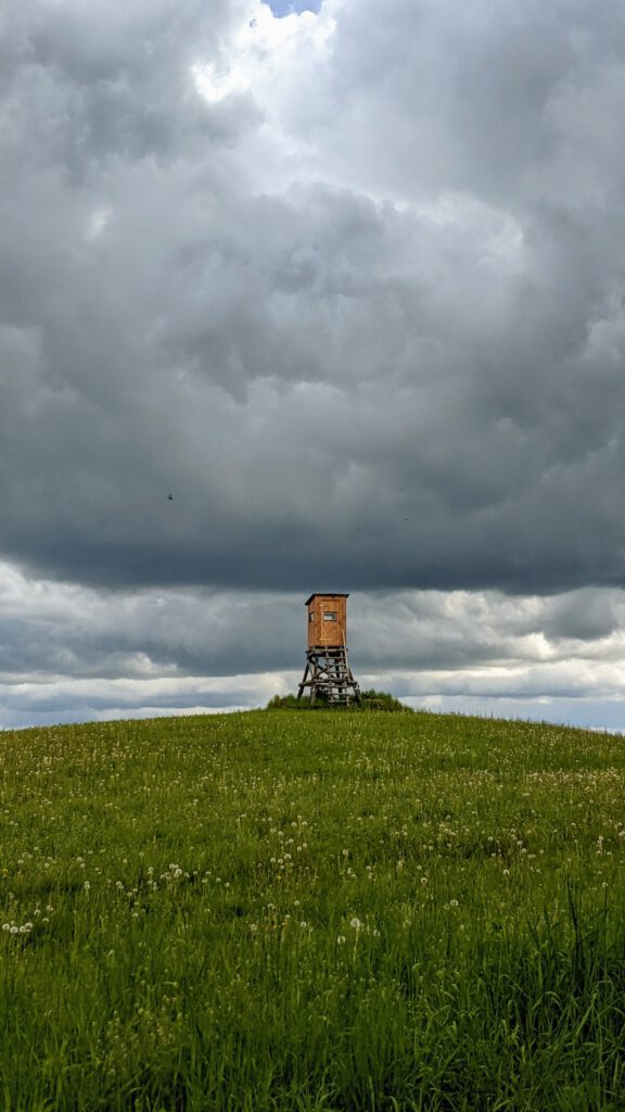 Hochsitz auf einer grünen Kuppe unter dunklen Wolken
