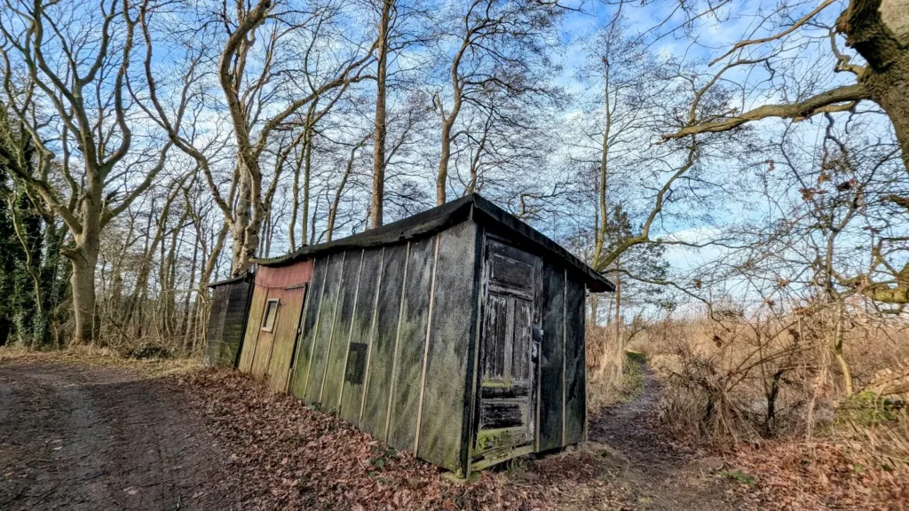 Alte, bemooste Holzschuppen am Schilfrand des Schmollensees
