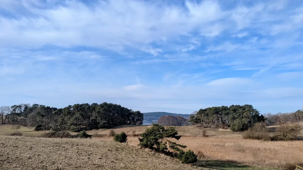 Blick über Weiden, Schilf und Kieferngruppen auf den Schmollensee bei Sellin