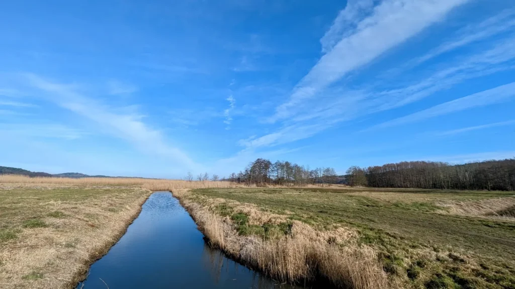 Wassergraben mit Schilfsaum in den Wiesen am Südufer des Schmollensees