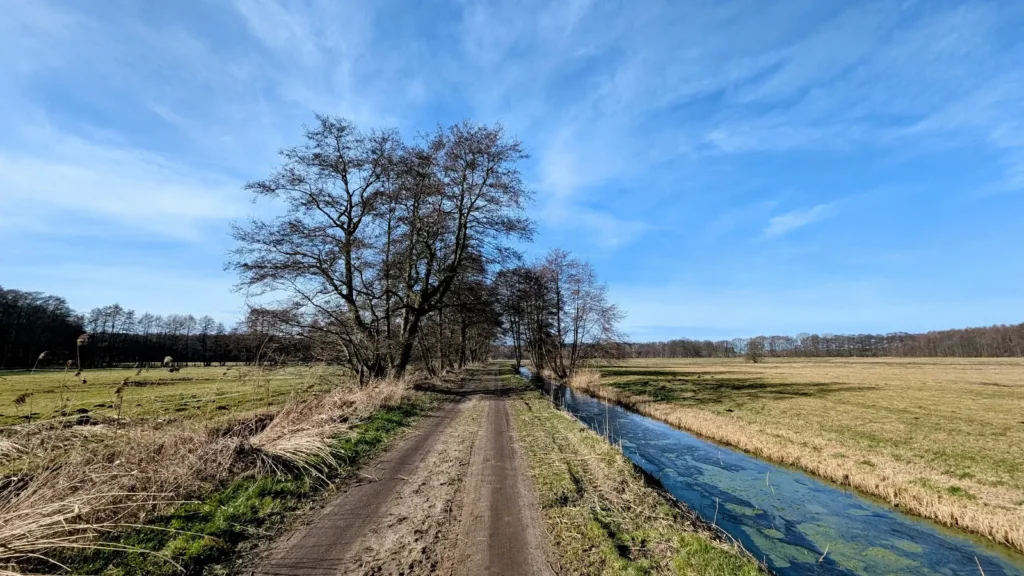 Sandweg neben einem Wassergraben mit Erlen in den Wiesen westlich von Pudagla
