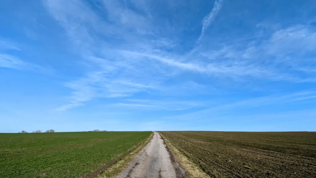 Schnurgerader Feldweg zwischen Äckern unter weitem Himmel
