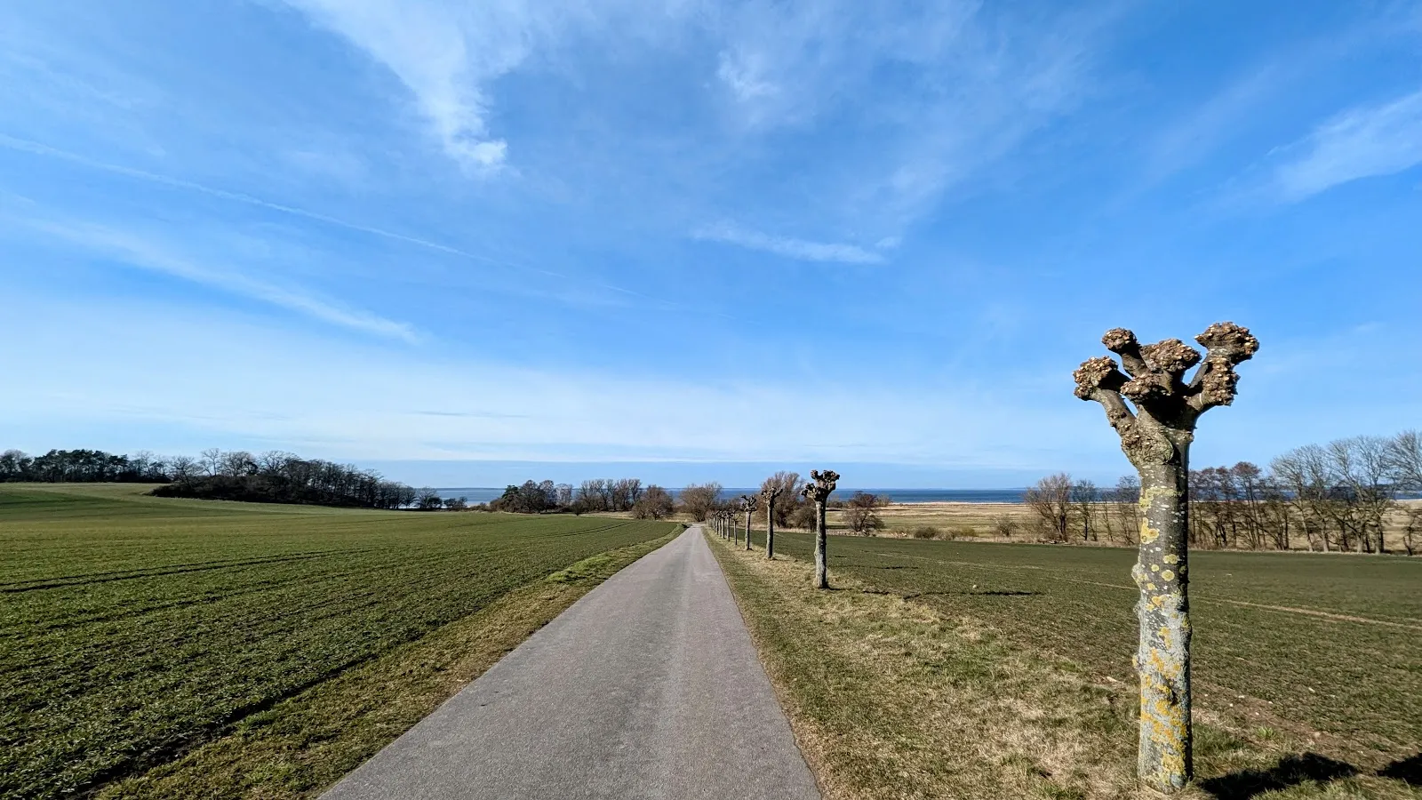 Usedom zu Fuß: Von Bansin um den Schmollensee nach Ückeritz