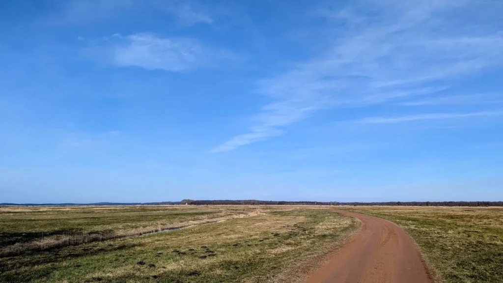 Rötlicher Fahrweg in einer Kurve durch flache Wiesen am Achterwasser