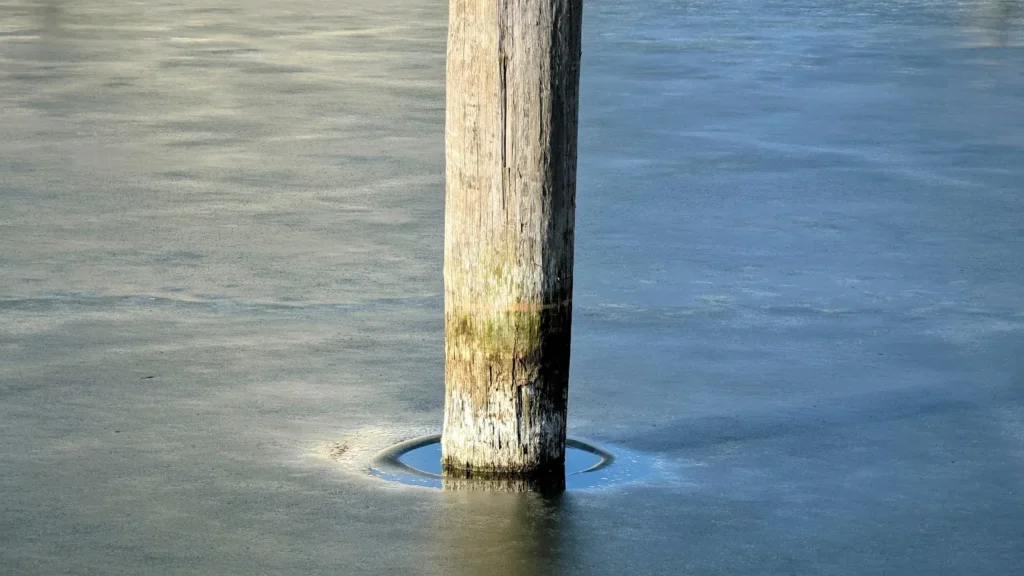 Holzpfahl im zugefrorenen Hafen Stagnieß, um den Pfahl ein aufgetauter Ring