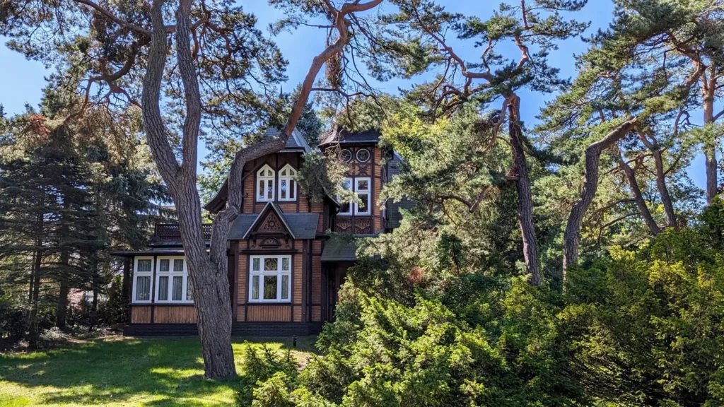 Dunkles Holzhaus mit weißen Fenstern unter Kiefern zwischen Heringsdorf und Ahlbeck