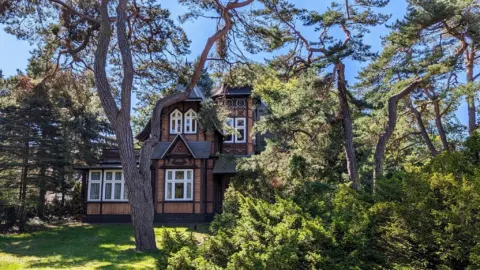 Holzhaus unter Kiefern, Heringsdorf, Usedom