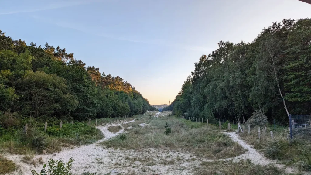 Waldschneise an der deutsch-polnischen Grenze zwischen Ahlbeck und Świnoujście