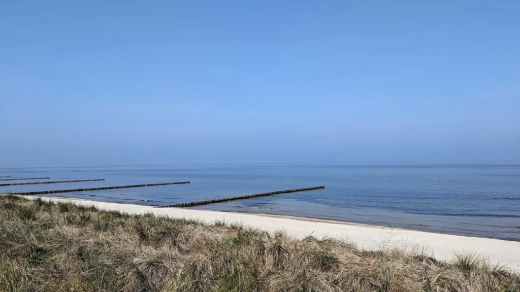 Buhnenreihe am Strand von Zempin, vorn Strandhafer