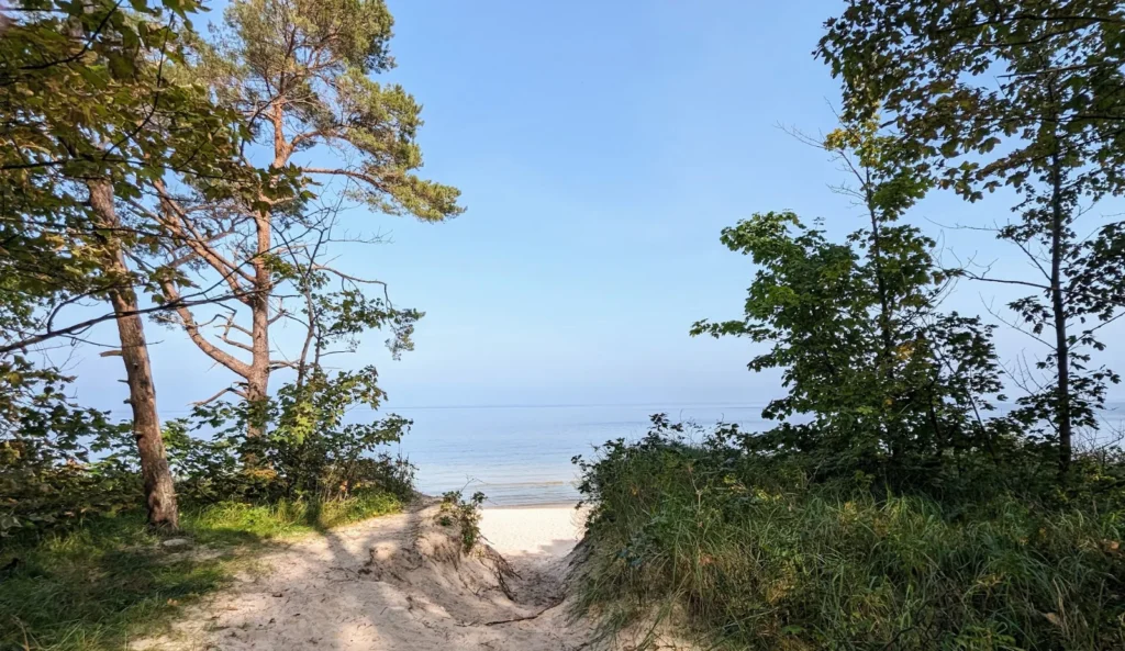 Sandiger Strandzugang zwischen Kiefern und Büschen bei Zempin
