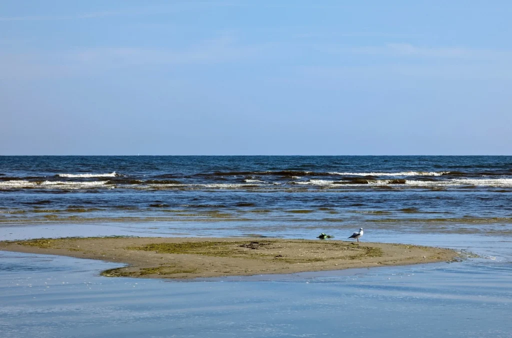 Sandbank vor dem Strand mit zwei Möwen, dahinter die Brandung
