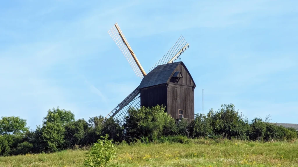 Bockwindmühle Pudagla hinter Büschen unter blauem Himmel