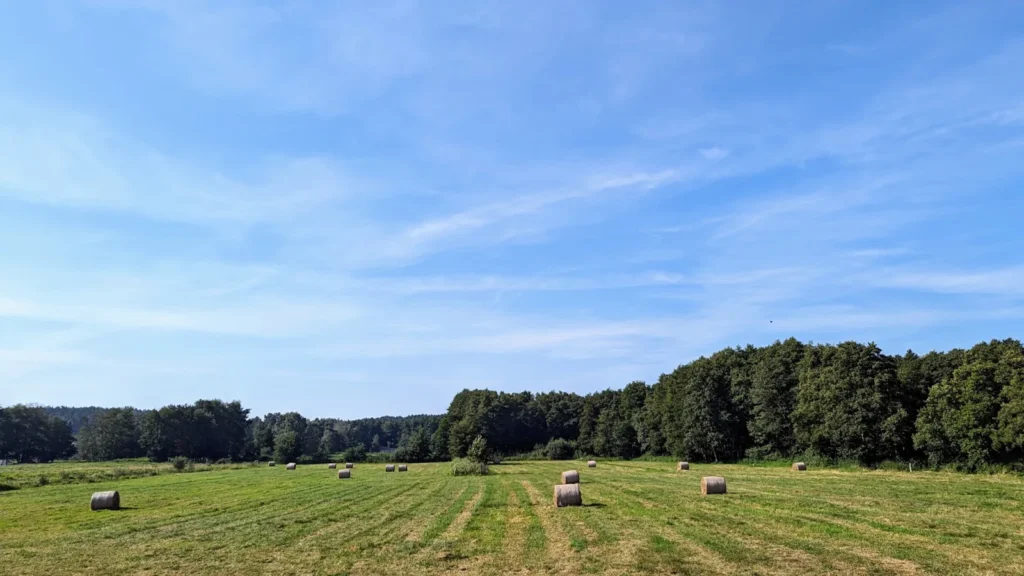 Abgeerntetes Feld mit Strohballen vor Benz
