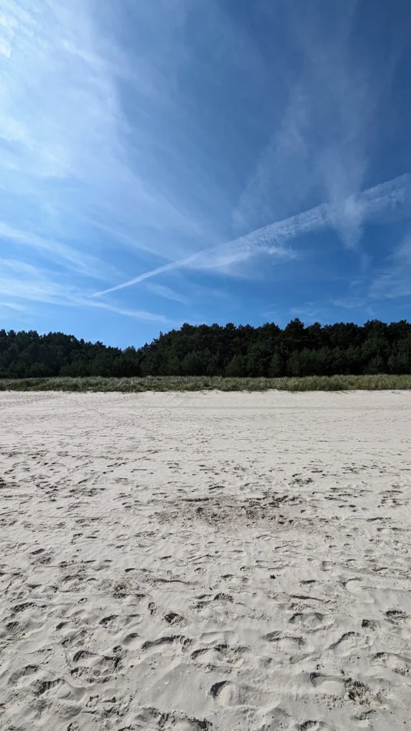 Heller Sandstrand mit Fußspuren, am Horizont der Küstenwald