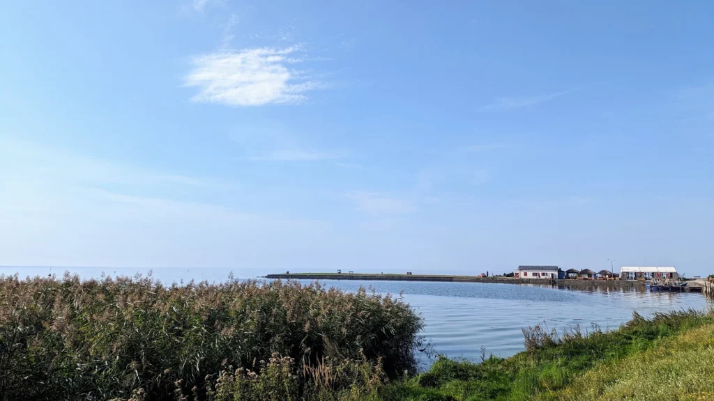 Blick über Schilf und das Stettiner Haff auf die Molen des Hafens Kamminke