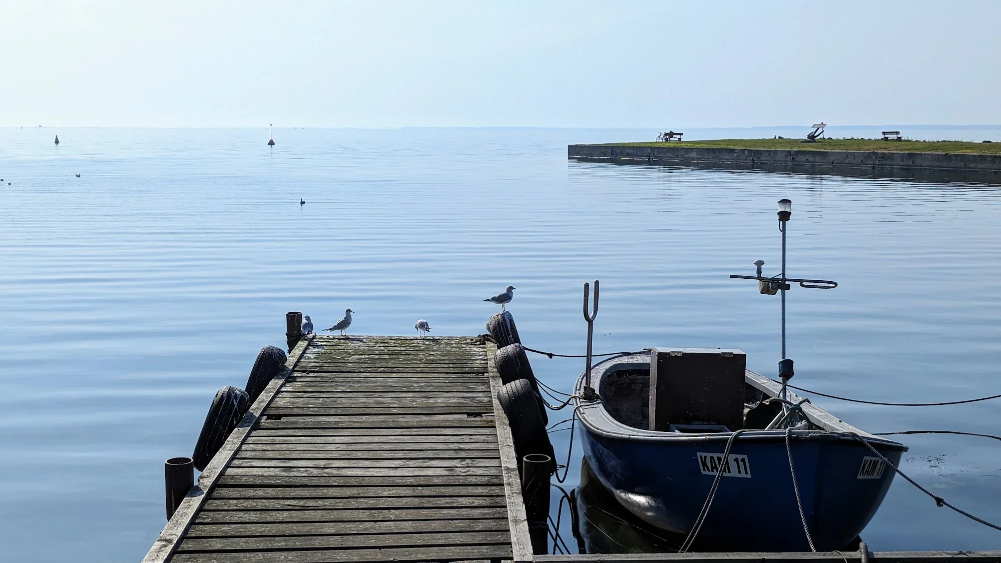 Holzsteg mit Möwen und ein blaues Fischerboot im Hafen Kamminke am Stettiner Haff