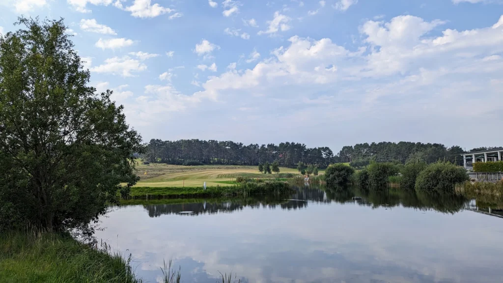 Teich mit gespiegelten Wolken bei Korswandt, dahinter Wiesen und Waldrand