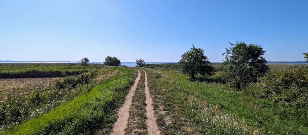 Sandiger Feldweg durch Wiesen am Achterwasser bei Zempin, im Hintergrund Bäume und Wasser