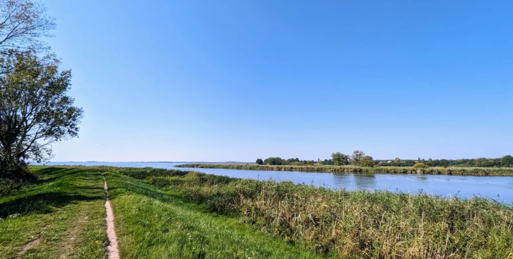Grasbewachsener Deich am Achterwasser zwischen Lüttenort und Koserow, links das Wasser