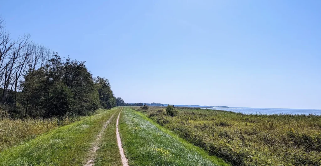 Unbefestigter Weg auf dem Deich am Achterwasser Richtung Koserow