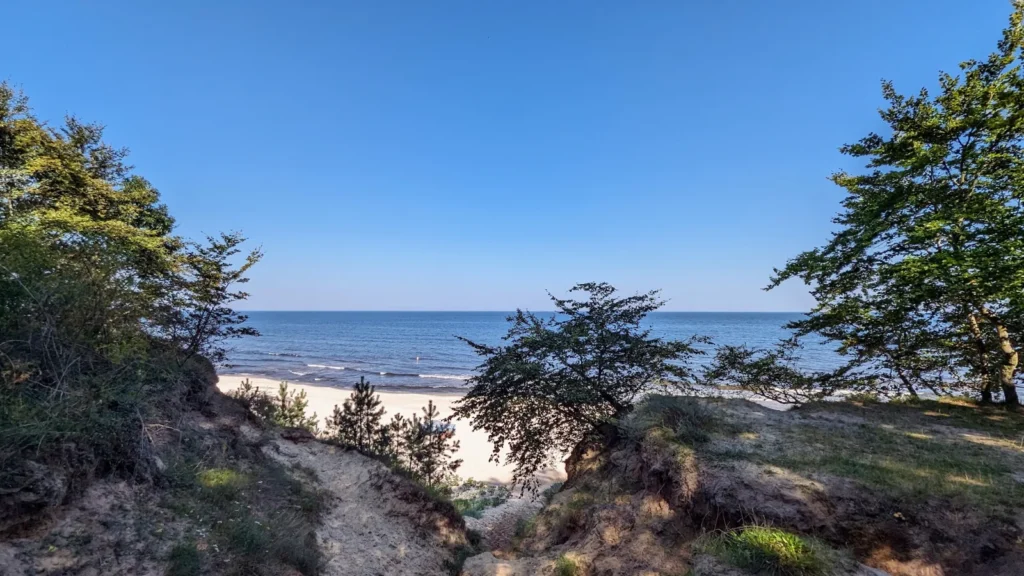 Blick von der Steilküste bei Stubbenfelde auf Strand und Ostsee, Kiefern am Hang